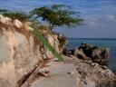 strand-2.jpg