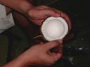 coco6-web.jpg