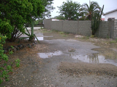 Water in de tuin