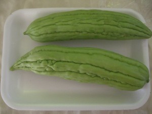 Mamotica