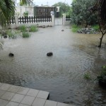 Tuinpad?